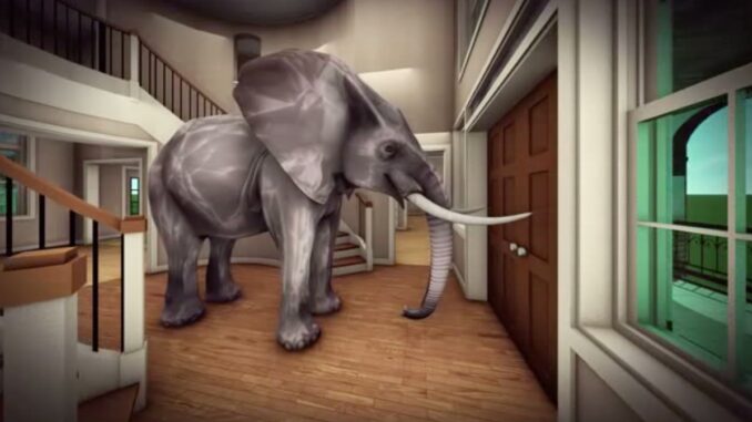 ElephantintheRoom