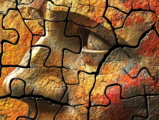 Somerton Man Case Jigsaw Puzzle